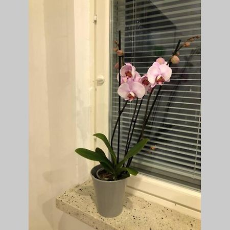 Studio Vescu Lahti Ngoại thất bức ảnh